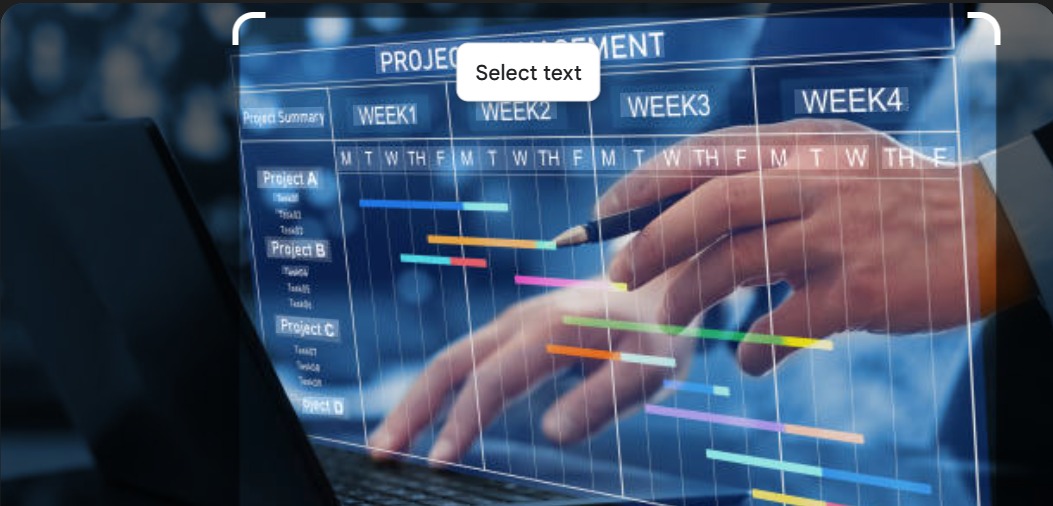 Project Management